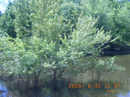 Photo not available